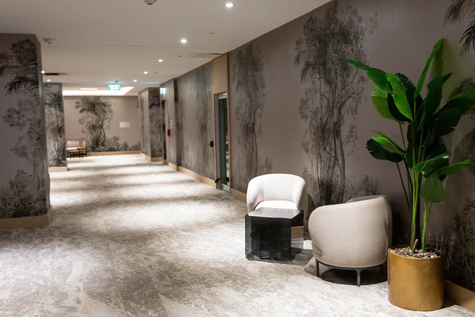 Hallway with lounge chairs and a botanical mural leading to Dentistry on Gloucester