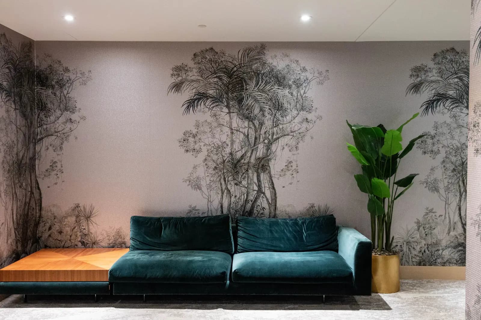 Green velvet sofa and botanical mural in the waiting lounge outside Dentistry on Gloucester