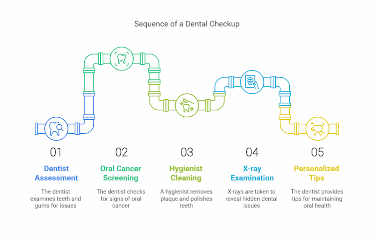 What Will You Experience During a Dental Checkup?