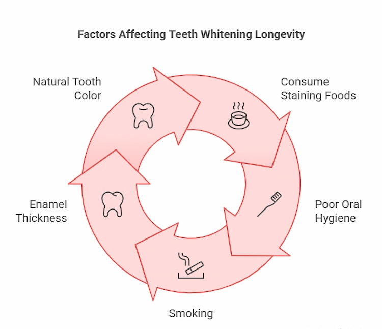 What Factors Affect the Longevity of Teeth Whitening Results?